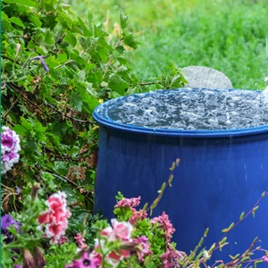 Rainwater Harvesting