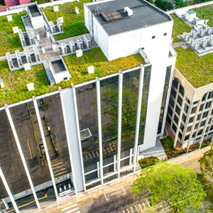 Green Roofs